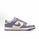 FZ4349 NIKE耐克女子W 100 LOW NN运动休闲鞋 NIKE DUNK