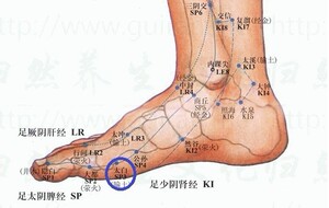 脾经穴位贴敷补脾健脾祛湿补益脾经经气疏通脾经经络帖