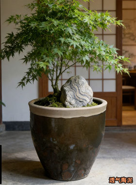超大落地种树造景陶瓷花盆种菜老式缸复古户外园林生态盆景盆大口
