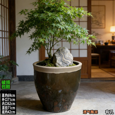 超大落地种树造景陶瓷花盆种菜老式缸复古户外园林生态盆景盆大口