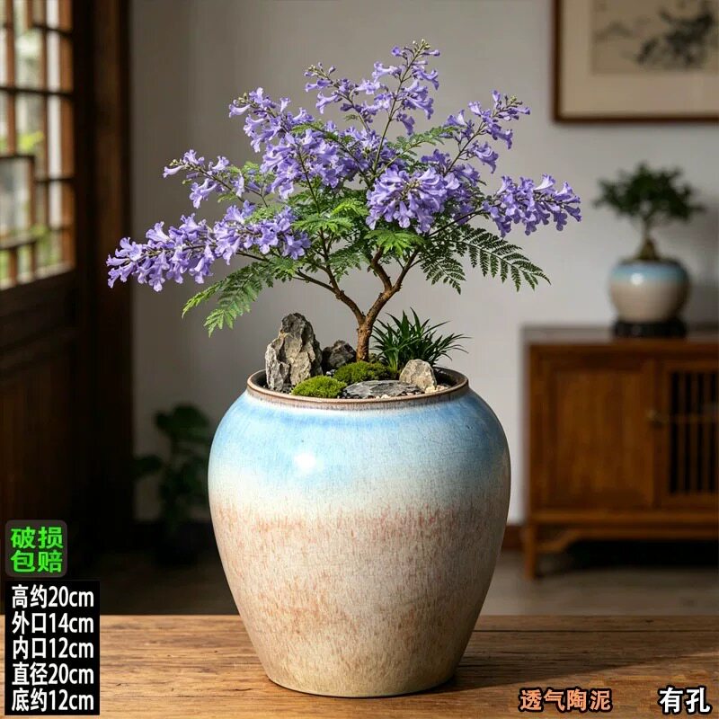特价清仓陶瓷花盆大号月季三角梅绿植盆景盆高筒粗陶罐大口径批发