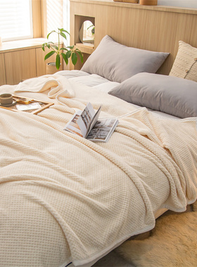 双面奶丝绒毯冬季风格法莱长毛绒毯-白色美床幼儿园单人被套毯