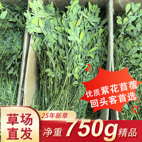 精品烘干头茬紫花苜蓿草