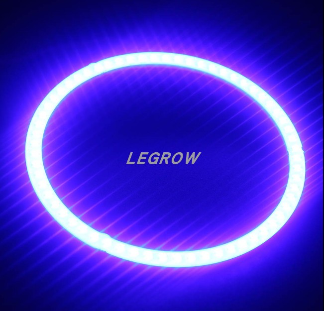 圆环形鹰眼12-24v电压汽车发光灯