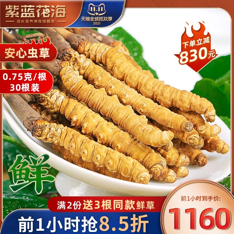2021新鲜冬虫夏草正品西藏鲜草0.75g/根30根鲜虫草旗舰店礼盒装|msdalam kategori makanan berkhasiat tradisional, Cordyceps - dari Buy2taobao.com untuk memberikan perkhidmatan ejen Taobao profesional membeli
