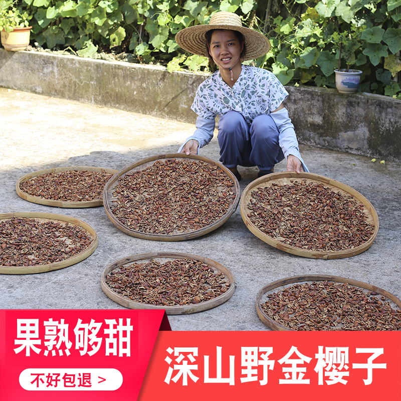 金樱子野生无硫药材男人泡酒材料