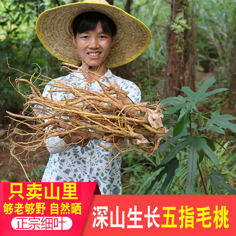 广东新鲜五指毛桃根现挖五爪龙营养炖汤材料煲汤食材土茯苓牛大力