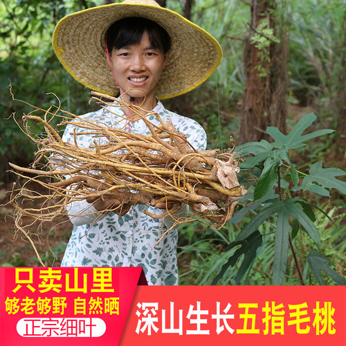 广东五指毛桃深山五爪龙土茯苓