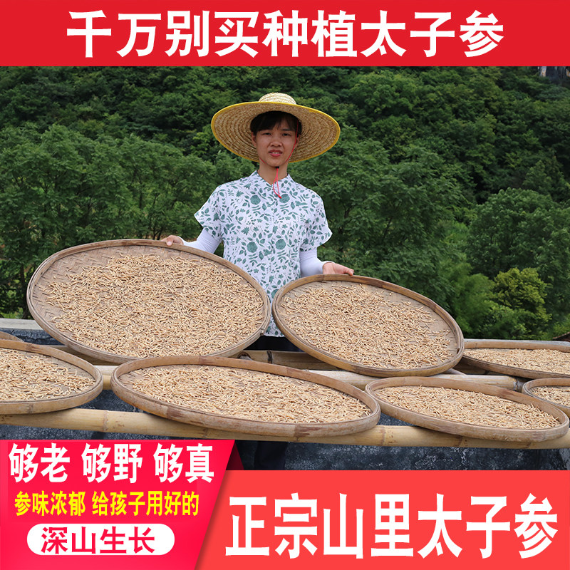 野外太子参深山正品农家孩儿参童参煲汤煮水干货食材滋补药材正宗
