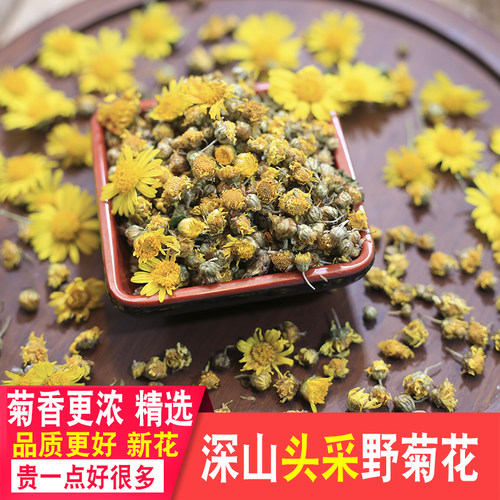 深山野菊花小米菊胎菊下火凉茶