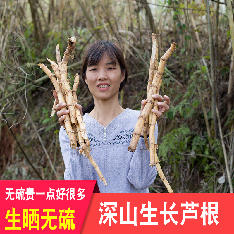 农家自晒深山芦根干货无硫草药材
