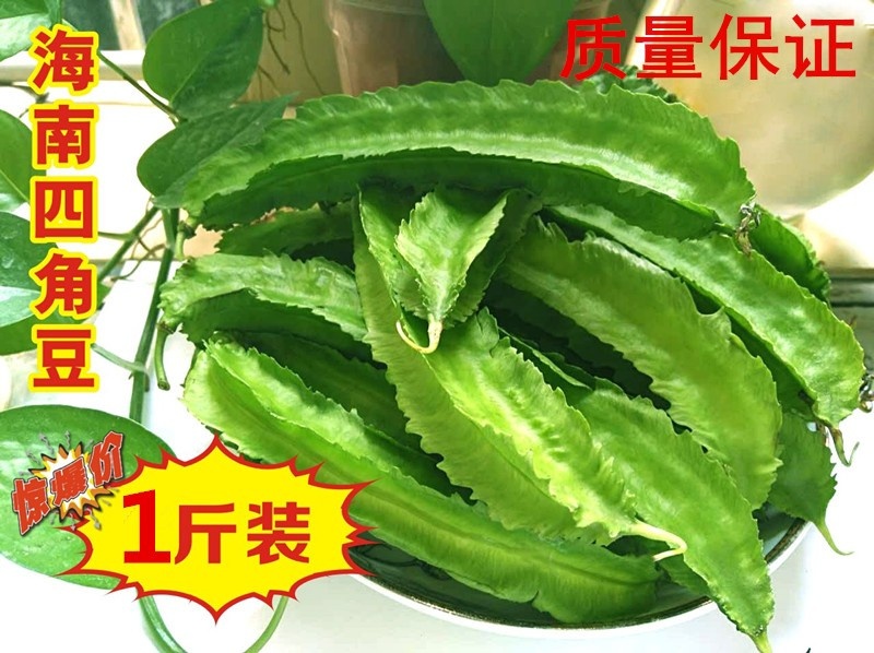 海南三亚热带龙豆杨桃新鲜蔬菜