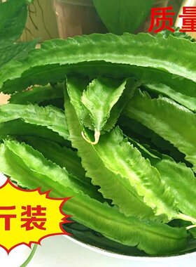 海南三亚热带龙豆杨桃新鲜蔬菜