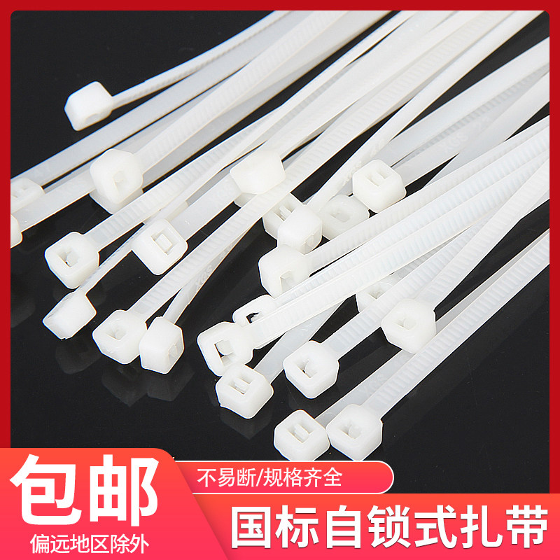 国标自锁式塑料尼龙扎带