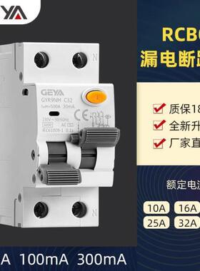 GEYA格亚GYR9NM电磁式带过载保护剩余电流动作漏电断路器2P25A40A