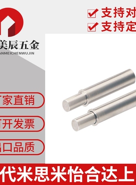 304平头型小径弹簧柱塞MPFLT/MPFHT1.5/2/3/4/5-1.5/3/4/6/8/9/12