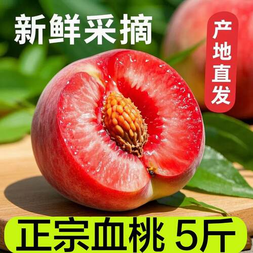 红肉湖北血桃5斤满21立减20桃子