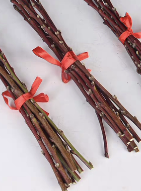 桃木枝桃木棍卧室床头宝宝桃木摆件肥城桃木树枝