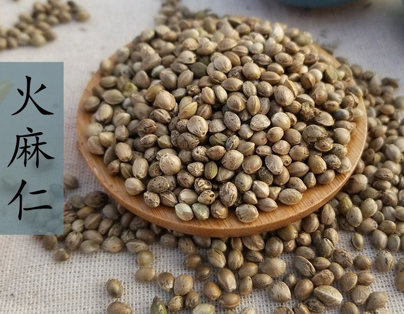 中药材特级野生火麻仁500g克火麻仁籽火麻仁子桑叶茶决明子茶泡茶