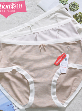 三条装彩田内裤15865中腰莫代尔女弹力边亲肤舒适软糯石墨烯抑菌