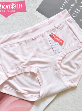 彩田中腰莫代尔内裤15899女纯色轻薄透气蝴蝶结简约包臀石墨烯10A