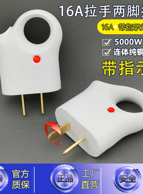 带指示灯电源插头纯铜片二极白色两脚大功率16a