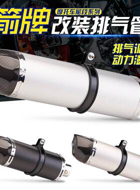 摩托改装排气管R1 Z900 追350 赛600 R500 ARROW全碳纤双孔