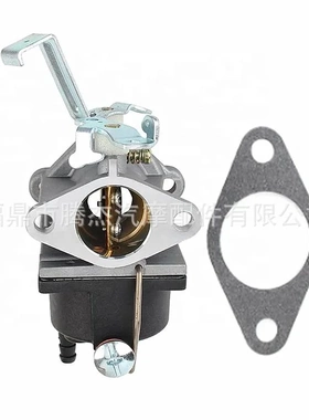 Tecumseh特库姆塞适用于640221 5156 OV691EA TVT691扫雪机化油器