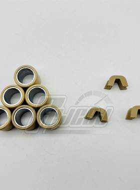 供应M三阳机车 joymaxZ300 Z300前驱动盘滑动片 普利珠滑块