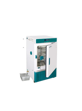菲斯福 霉菌培养箱MJX-70BL国内中文版220V/出海110V/60Hz