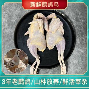 农家散养老鹧鸪活体当天现杀现发新鲜鹧鸪鸟肉飞龙嘎嘎鸡生鲜鸟肉
