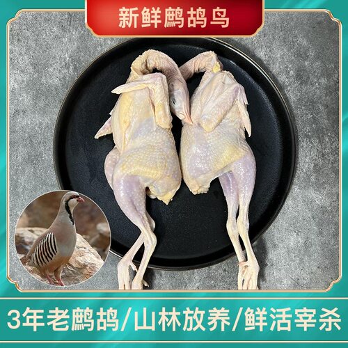 散养老鹧鸪肉现杀现发新鲜鹧鸪鸟