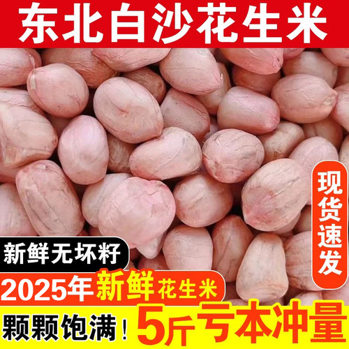 2025年新鲜花生米东北大白沙花生米精选大颗粒新花生不带壳花生仁