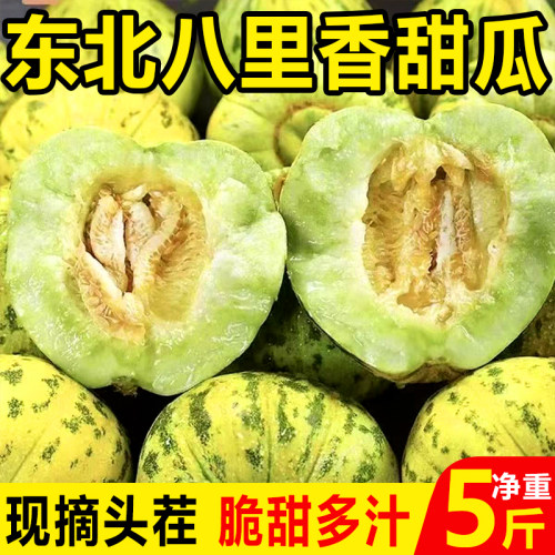 东北八里香甜瓜现摘现发