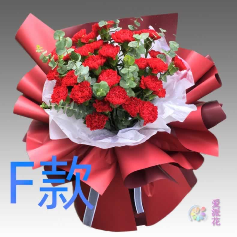 生日探望康乃馨四川西昌花店送花雷波县西昌市木里县同城鲜花快递