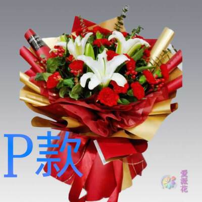 生日探望康乃馨宁夏固原花店送花西吉隆德泾源彭阳县同城鲜花速递