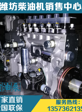 潍柴动力斯太尔WP10发动机柴油机高压油泵612601080386龙口喷油泵