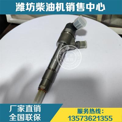 潍柴轻卡汽车喷油器喷油嘴总成