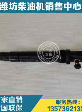 潍柴6M26柴油发动机12M26博杜安 喷油器15551940H喷油嘴 喷油头