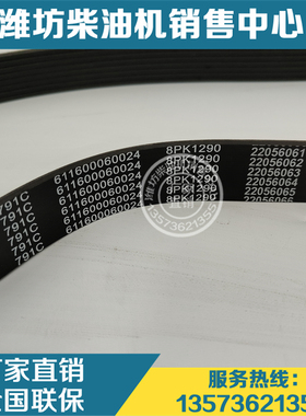 原装8PK1290多楔带611600060024皮带潍柴发动机WP9H WP10H柴油机