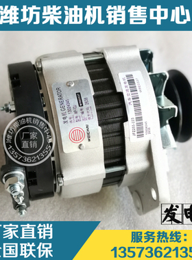 潍柴226B道依茨WP4发动机WP6柴油机原厂配件13024345交流发电机
