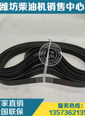 13071790皮带10PK1439张紧轮多楔带 潍柴道依茨柴油发动机博杜安