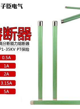 高压限流熔断器XRNP1-35kv/40.5kv-0.5A1A2A3.15A电压互感器保护