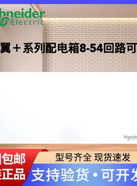 施耐德照明箱天翼终端配电箱16路