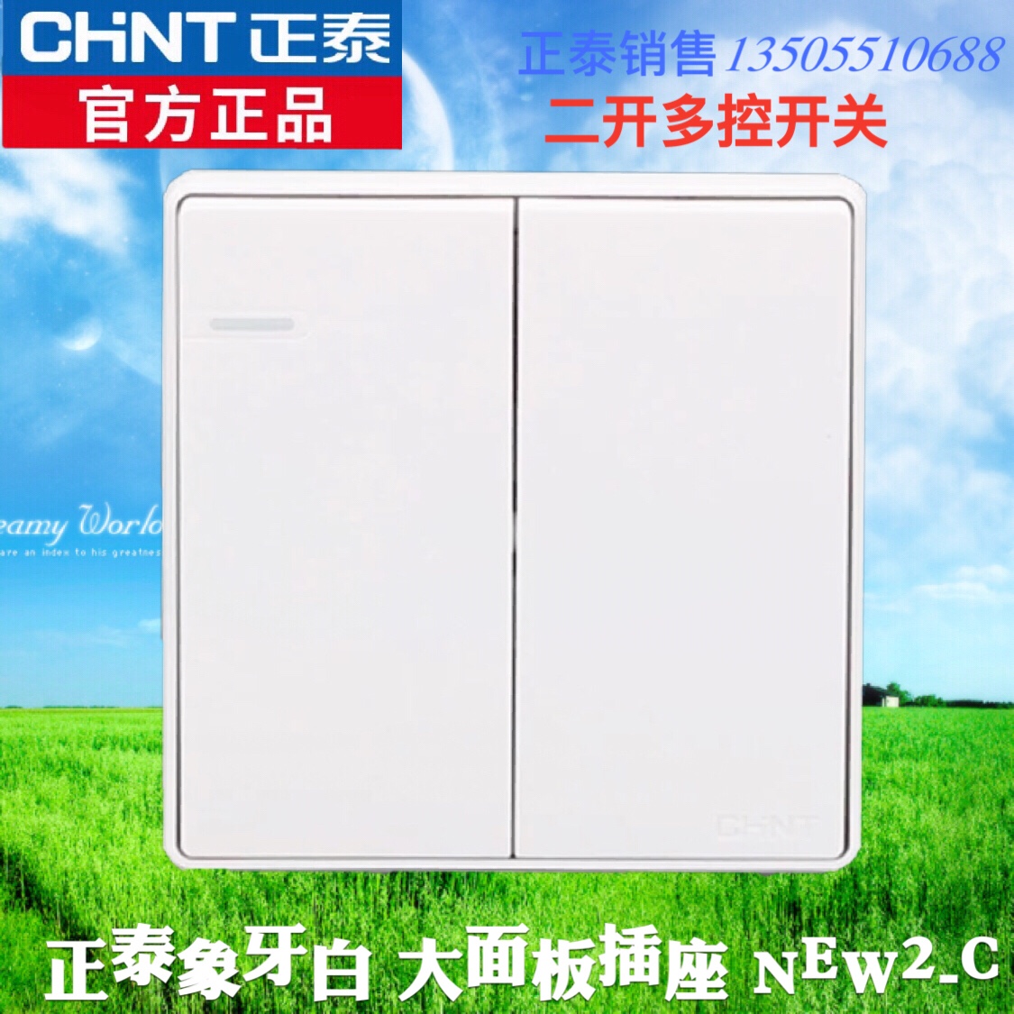 正泰电工墙壁开关插座NEW2C象牙白大面板二开多控开关无边框2开