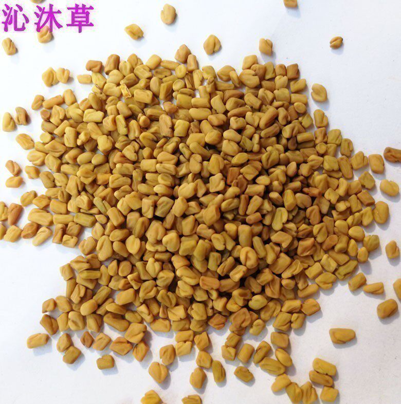 中药材葫芦巴籽一斤 葫芦子 苦豆 香草籽 苦草 胡芭 芦巴子 500克