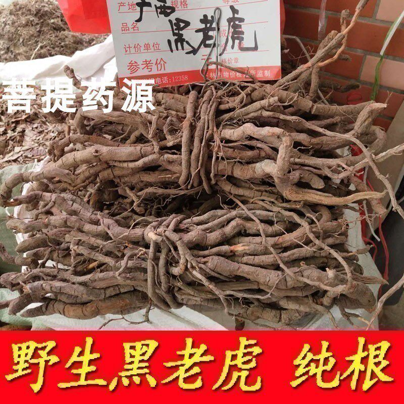 钻骨风根中药材黑老虎纯根1000克 大红钻风广西钻山风 钻地风大钻
