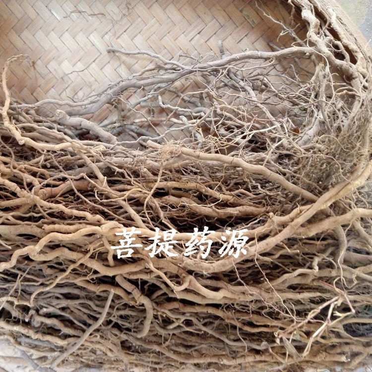通城虎根中药材血蒌根