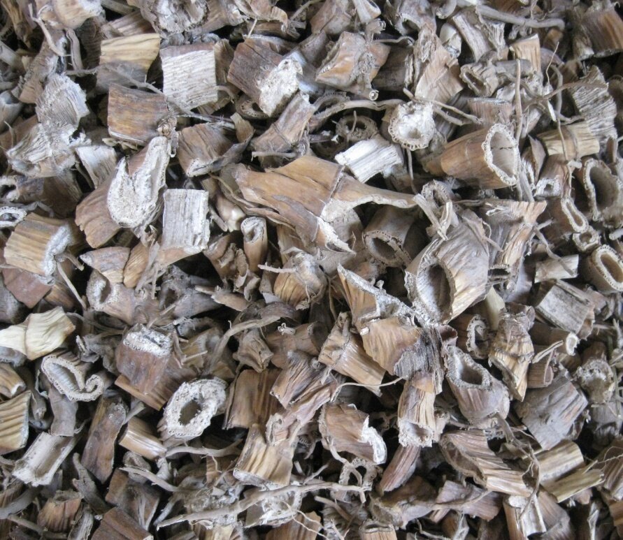 芦根新鲜干货500g克包邮一斤 芦苇茎 水苇根 苇子根白茅根