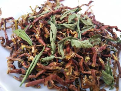 山蜜草长寿草天山乌龙草根